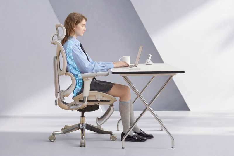 Can an Ergonomic Chair Help Correct Poor Posture? A Complete Guide to Better Sitting Habits and Spinal Health