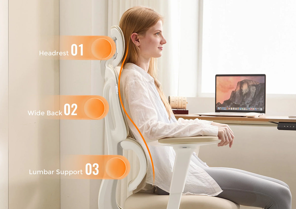 How to Choose an Ergonomic Chair for Healthy Posture