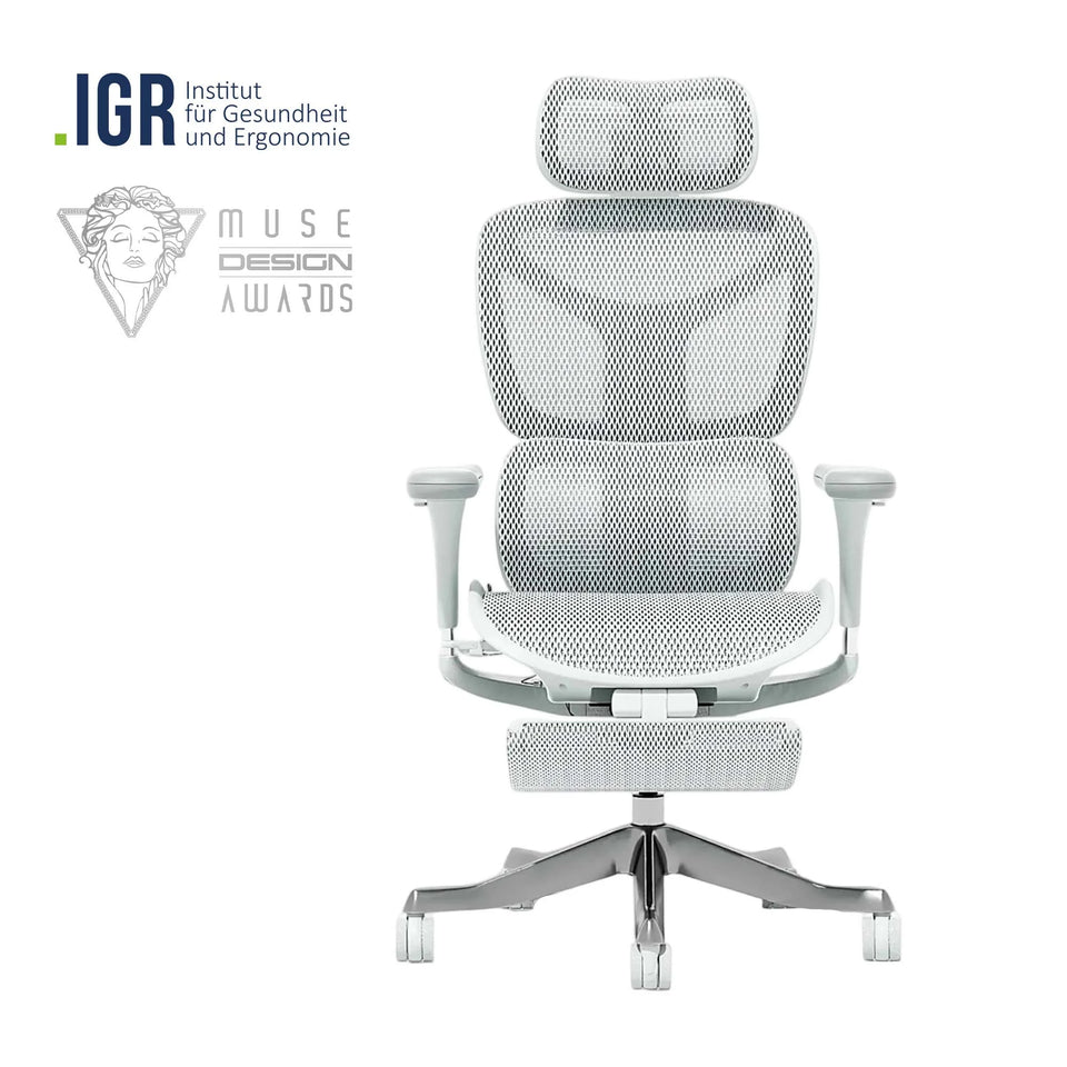 Ergonomic office chair with light mesh back and seat, five-leg base and armrests