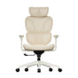Welax S3 – Ergonomic Office Chair with a Colorful Lifestyle Design